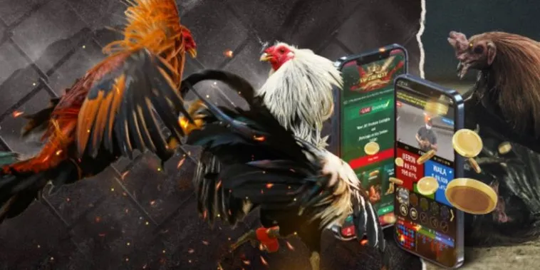 Chinh Phục Sảnh Đá Gà GA28 Tại VF555 Và Rinh Thưởng Khủng Mỗi Ngày 2 Chinh Phục Sảnh Đá Gà GA28 Tại VF555 Và Rinh Thưởng Khủng Mỗi Ngày